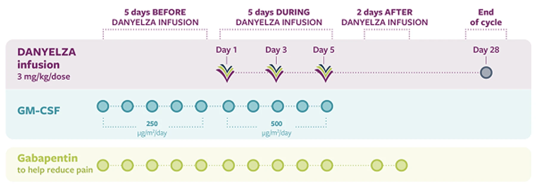 DANYELZA treatment schedule showing days 1, 3, and 5 of a 28-day cycle